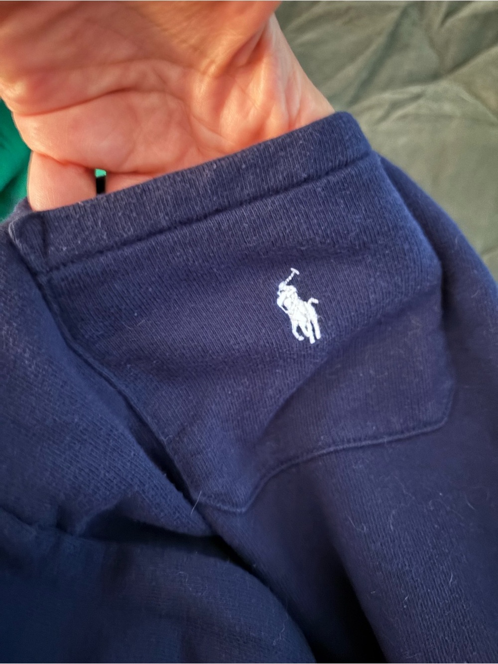 Polo by Ralph Lauren greenCrewneck Sweatshirt with navy joggers - Picture 10 of 12